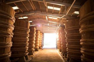 Nước mắm nhĩ  Hòn Sơn - Làng nghề lâu đời nhất tại Hòn Sơn, hãng nước mắm Thuỳ Dương lâu đời và nổi tiếng nhất Hòn Sơn