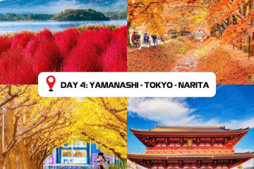 YAMANASHI – TOKYO - NARITA