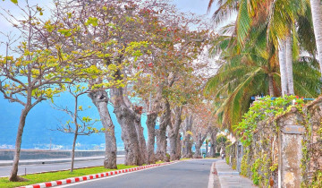 Côn Đảo, một hòn đảo xinh đẹp nhất Việt Nam, là điểm đến lý tưởng cho những ai muốn khám phá vẻ đẹp hoang sơ
